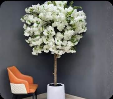 White Blossom