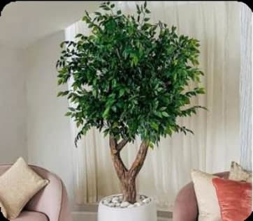 Statement Tree