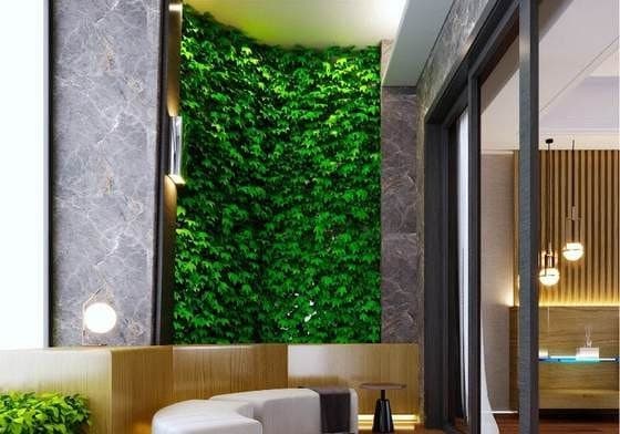 Interior Landscaping