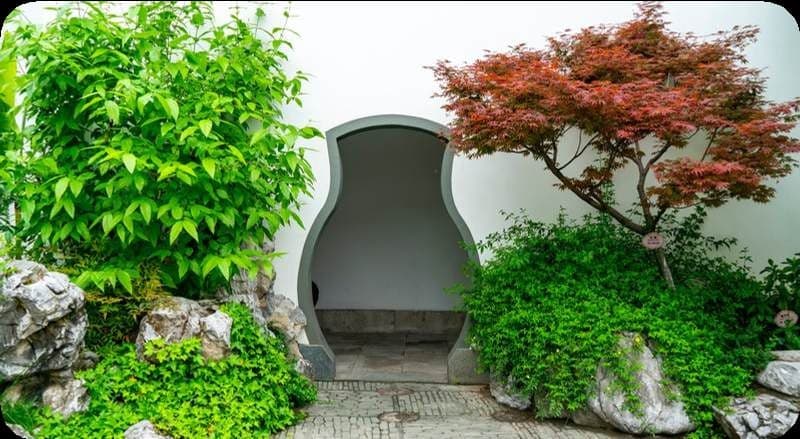 White villa wall, pool edge, and dense green planting